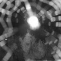 Webcam_20180816-234500
