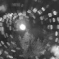Webcam_20180817-040000