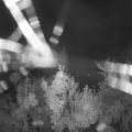 Webcam_20180819-041500