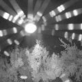 Webcam_20180819-043000