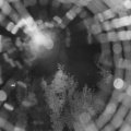 Webcam_20180819-220000