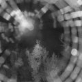 Webcam_20180820-000000