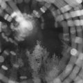 Webcam_20180820-040000