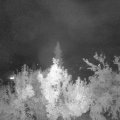 Webcam_20180824-000000