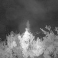 Webcam_20180824-043000