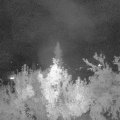 Webcam_20180824-223000