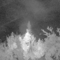 Webcam_20180825-040000