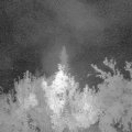 Webcam_20180825-043000