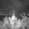 Webcam_20180826-051500