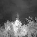 Webcam_20180827-040000