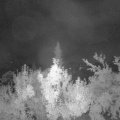 Webcam_20180828-041500