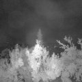 Webcam_20180828-043000