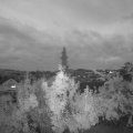 Webcam_20180829-204500
