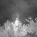 Webcam_20180830-040000
