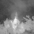 Webcam_20180830-043000