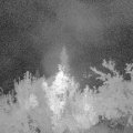 Webcam_20180830-050000