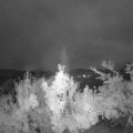 Webcam_20180830-060000