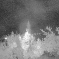 Webcam_20180830-220000