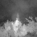 Webcam_20180831-050000