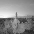 Webcam_20180901-060000