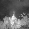 Webcam_20180902-040000