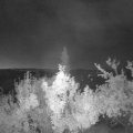 Webcam_20180902-053000