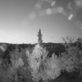 Webcam_20180904-060000