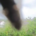 Webcam_20180904-173000