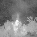 Webcam_20180906-041500