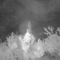 Webcam_20180908-041500