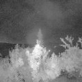 Webcam_20180908-053000
