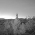 Webcam_20180908-061500