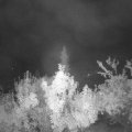 Webcam_20180910-050000