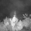 Webcam_20180910-051500