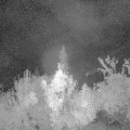 Webcam_20180915-053000