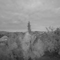 Webcam_20180915-200000