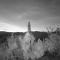 Webcam_20180916-061500