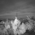 Webcam_20180916-201500