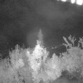 Webcam_20180917-050000