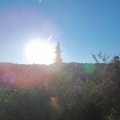 Webcam_20180918-081500