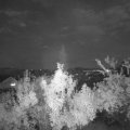 Webcam_20180919-201500
