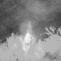 Webcam_20180920-040000