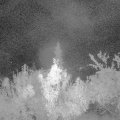 Webcam_20180921-040000