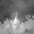 Webcam_20180921-041500