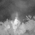 Webcam_20180921-043000