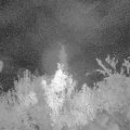 Webcam_20180921-050000