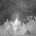 Webcam_20180921-053000
