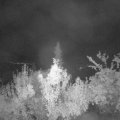 Webcam_20180922-060000