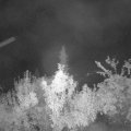 Webcam_20180923-050000