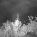 Webcam_20180923-210000